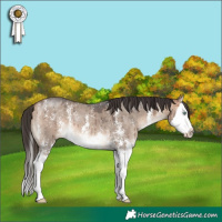 Horse Color:Bay Dun Mushroom Sabino Splash Brindle 