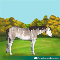 Horse Color:Bay Dun Mushroom Sabino Splash Brindle 