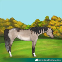 Horse Color:Brown Dun Mushroom 