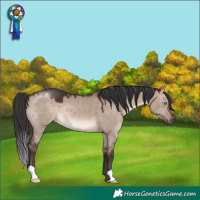 Horse Color:Brown Dun Mushroom