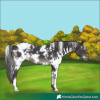 Horse Color:White Spotted Black Mushroom Blanket