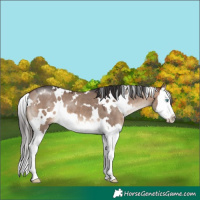 Horse Color:White Spotted Brown Dun Mushroom Splash 