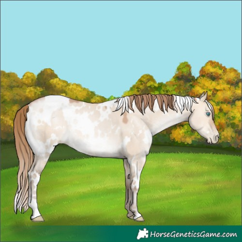 Horse Color:White Spotted Bay Pearl Dun Mushroom 