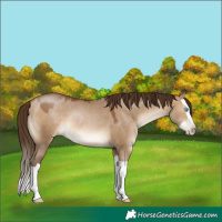 Horse Color:Gray Bay Pearl Dun Mushroom Splash