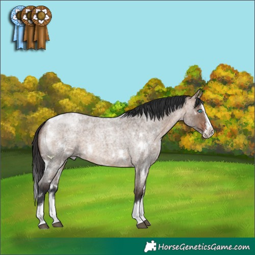 Horse Color:White Spotted Bay Roan Dun Splash 