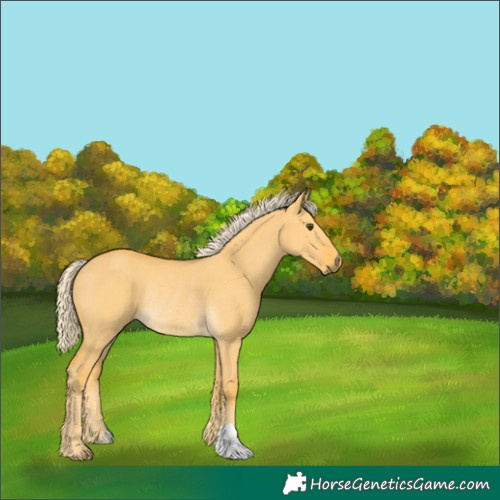 Horse Color:Palomino Dun Rabicano