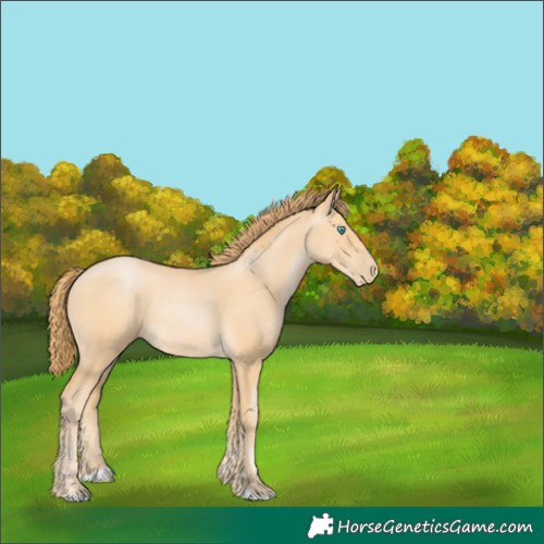 Horse Color:Buckskin Pearl Rabicano 