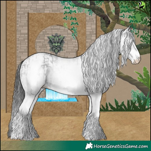Horse Color:White Spotted Black  and White Spotted Black 