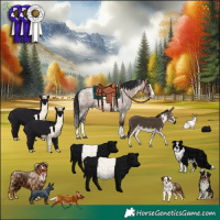 Horse Color:White Spotted Bay Roan Dun Splash