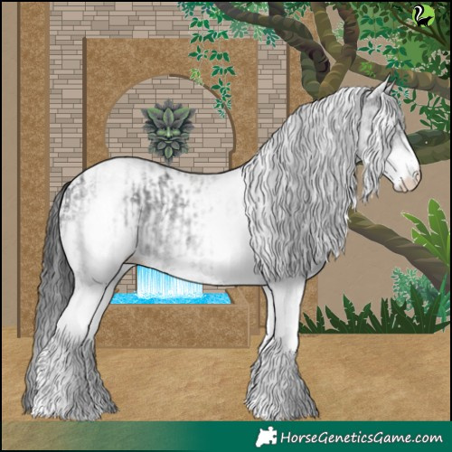 Horse Color:White Spotted Black  and White Spotted Black Near Leopard 