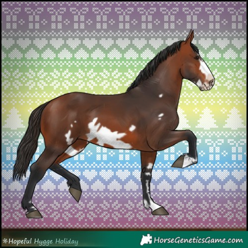 Horse Color:Bay Frame 