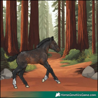 Horse Color:Brown Tobiano
