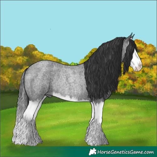 Horse Color:Blue Roan Splash Rabicano 
