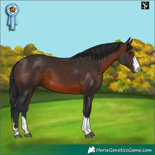 Horse Color:Brown 