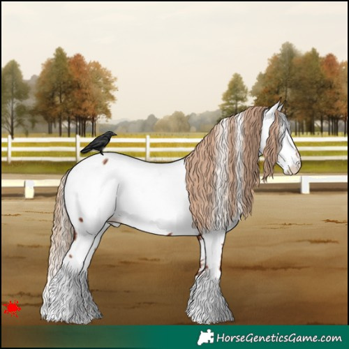 Horse Color:White Spotted Chestnut Fewspot 