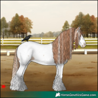 Horse Color:White Spotted Red Roan Splash Near Fewspot 