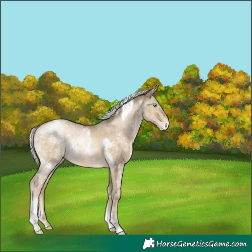 Horse Color:White Spotted Silver Buckskin Ice Pearl Tobiano 