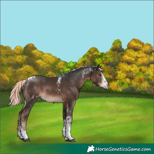 Horse Color:White Spotted Liver Chestnut Mushroom Tobiano 