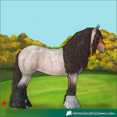 Horse Color:Bay Roan 