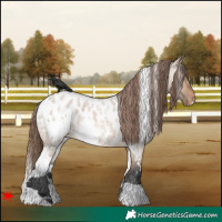 Horse Color:White Spotted Bay Roan Dun Blanket 