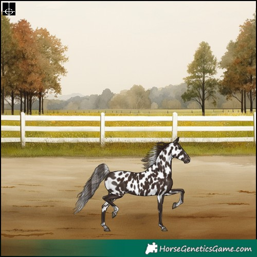 Horse Color:Liver Chestnut Tobiano Frame Skewed Appaloosa Rabicano 