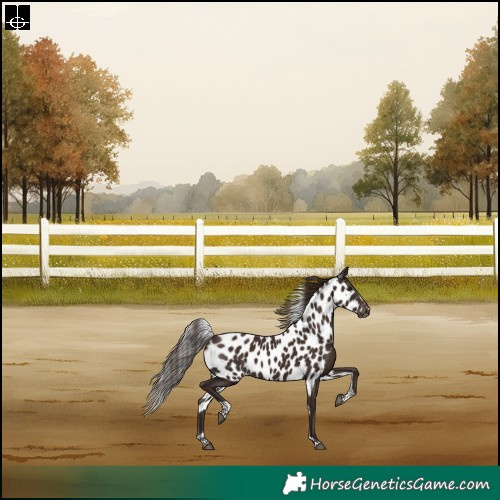 Horse Color:Liver Chestnut Tobiano Frame Skewed LP Spotted Rabicano 