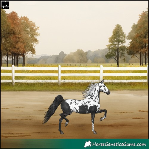 Horse Color:Liver Chestnut Tobiano Skewed LP Spotted Rabicano