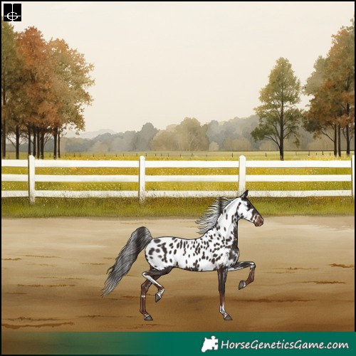 Horse Color:Liver Chestnut Tobiano Skewed LP Spotted Rabicano