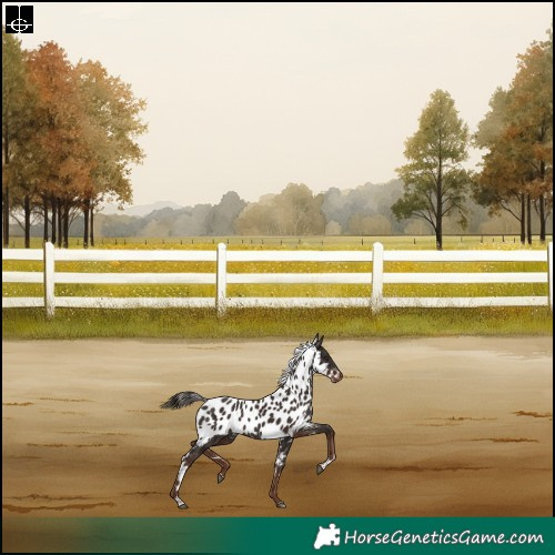 Horse Color:Liver Chestnut Tobiano Skewed Appaloosa Rabicano 