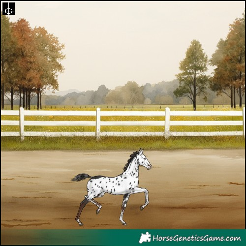 Horse Color:Liver Chestnut Tobiano Skewed LP Spotted Rabicano 