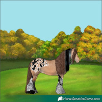 Horse Color:Bay Dun Tobiano Blanket