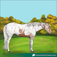Horse Color:Silver Brown Tobiano Skewed LP Spotted