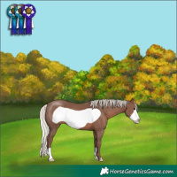 Horse Color:Silver Black Frame 