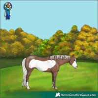 Horse Color:Silver Black Frame 