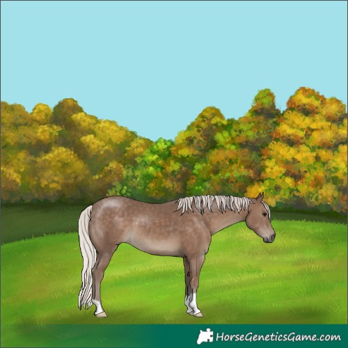 Horse Color:Silver Black 