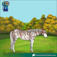 Horse Color:Silver Brown Sabino 