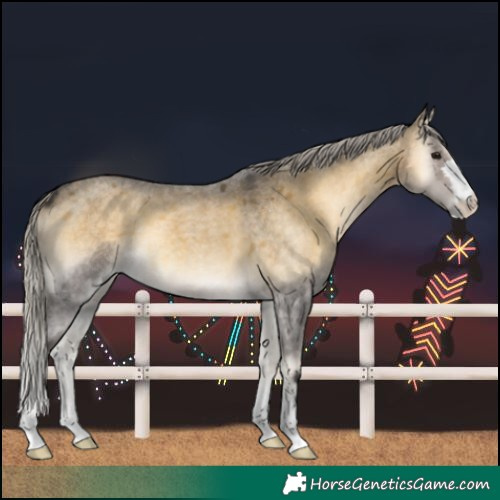 Horse Color:Silver Buckskin Roan Onyx