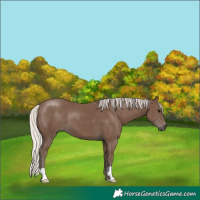 Horse Color:Silver Black