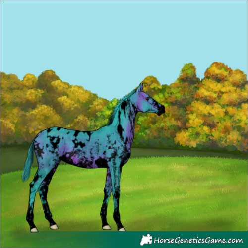 Horse Color:Void Watercolor White Spotted Bay Sabino 