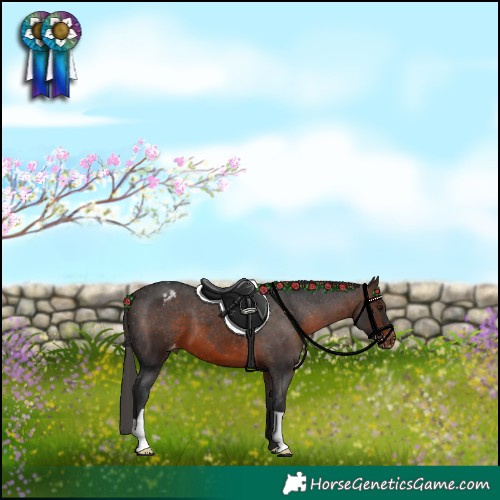 Horse Color:Brown Varnish 