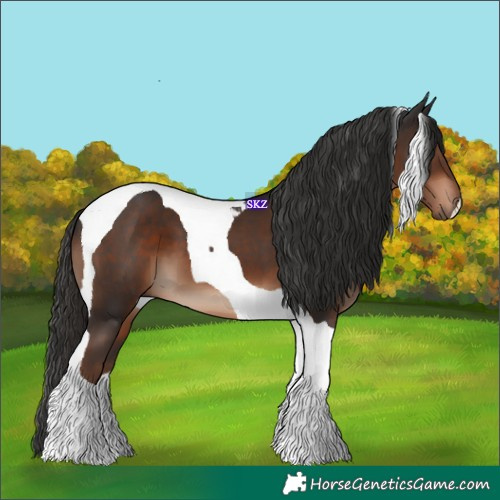 Horse Color:Liver Chestnut Tobiano