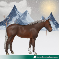 Horse Color:Silver Brown