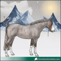 Horse Color:Silver Blue Roan 