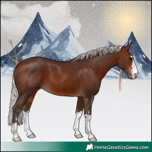 Horse Color:Silver Brown 