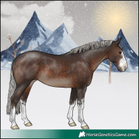Horse Color:Silver Brown