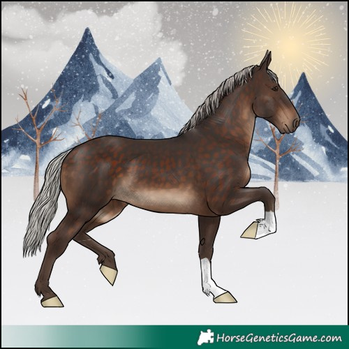Horse Color:Silver Brown