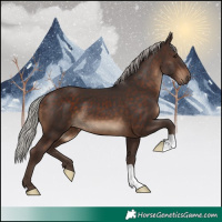 Horse Color:Silver Brown