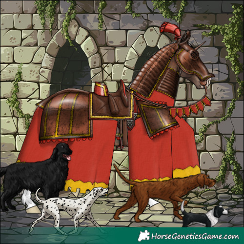 Horse Color:Silver Brown 