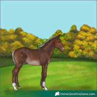 Horse Color:Silver Brown