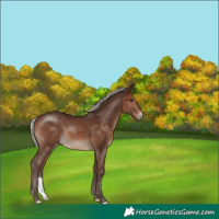 Horse Color:Silver Brown 